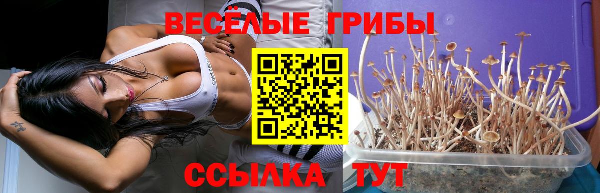 Галлюциногенные грибы GOLDEN TEACHER Изобильный